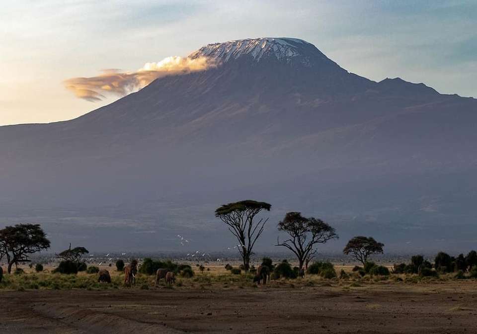 Picturesque Solo Kenya Tour - Indus Travels - Kenya - Image 1