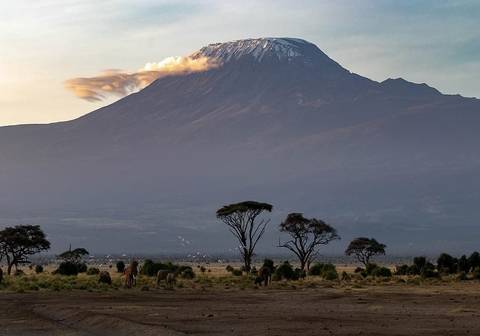 Kenya Experienced Travelers Trips: Picturesque Solo Kenya Tour