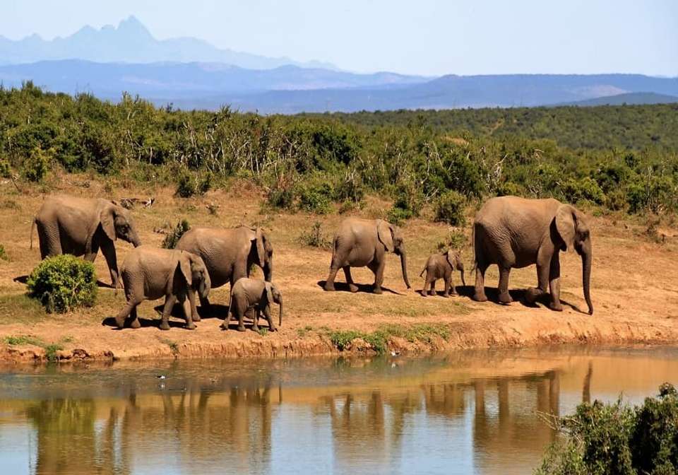 Picturesque Solo Kenya Tour - Indus Travels - Kenya - Image 4