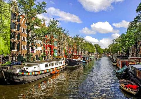 Picturesque Solo Rhine Cruise - 8 Days