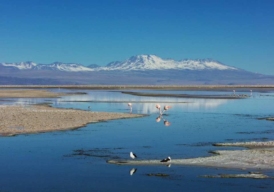 Picturesque Solo Chile Tour - undefined - Image 9