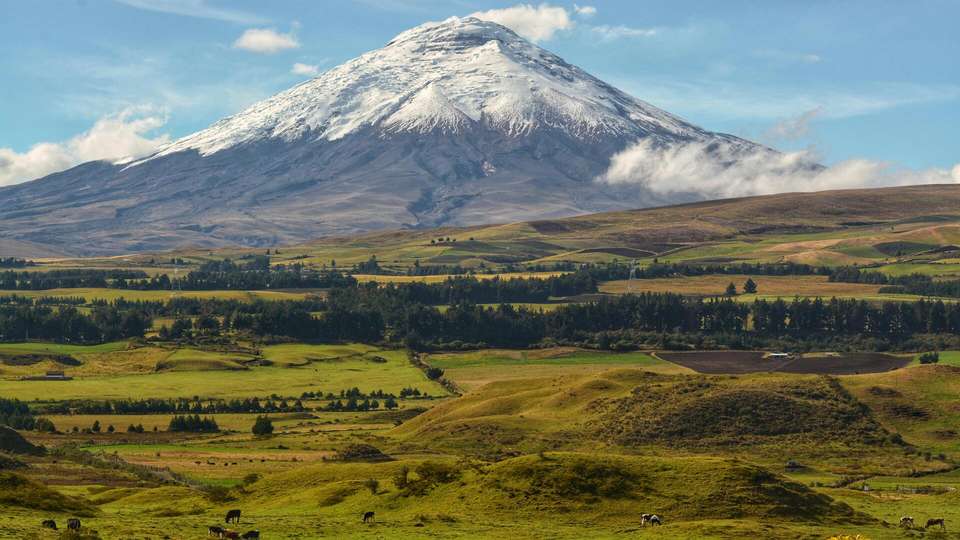 Picturesque Solo Ecuador Tour - undefined - Image 8