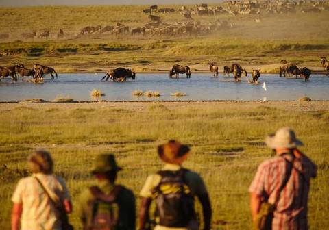 Picturesque Solo Tanzania Tour - 7 Days