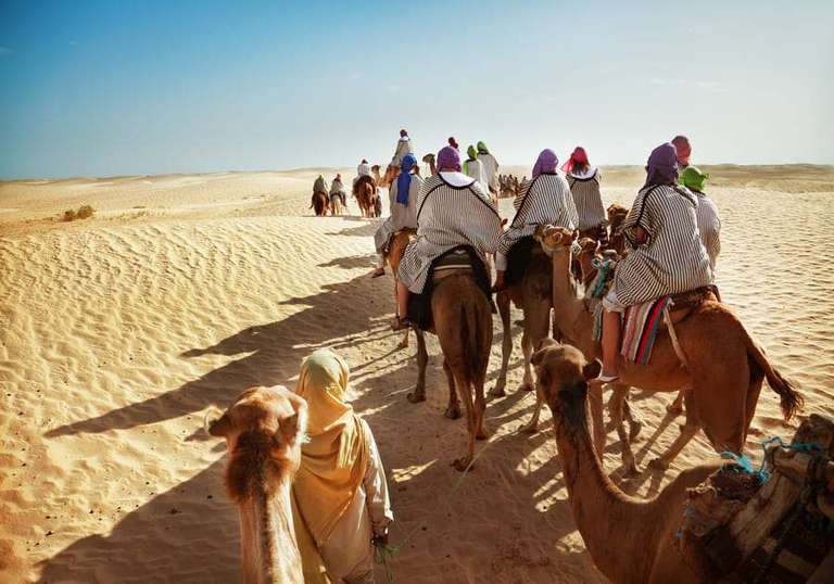 Picturesque Solo Tunisia Tour trip - alternative tour available