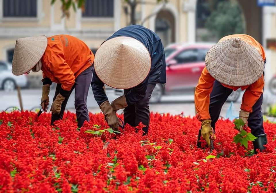 Picturesque Solo Vietnam and Thailand Tour - Indus Travels - Vietnam - Image 6