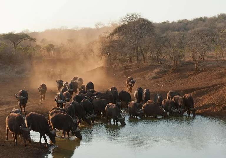 Picturesque Solo South Africa Tour trip - alternative tour available