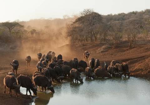 Picturesque Solo South Africa Tour - August 2026