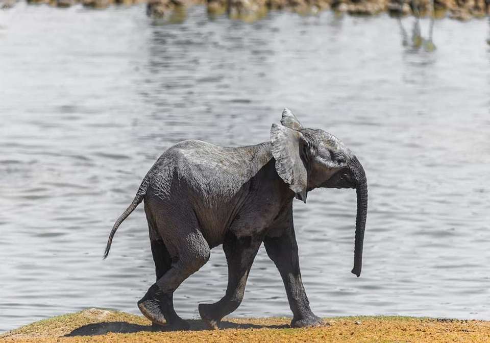 Picturesque Solo South Africa Tour - Indus Travels - South Africa - Image 2