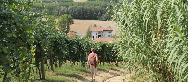 Piedmont: Land of Barolo and Barbera trip - alternative tour available