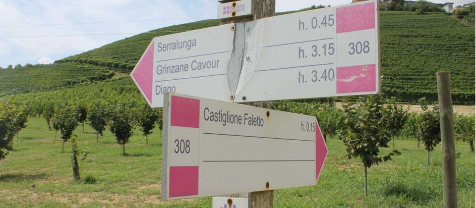 Piedmont: Land of Barolo and Barbera - Utracks - Italy - Image 3