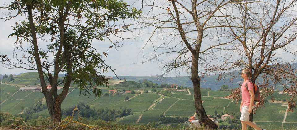 Piedmont: Land of Barolo and Barbera - Utracks - Italy - Image 5