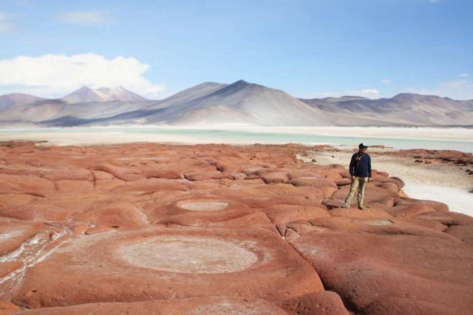 Piedras Rojas & Miscanti y Miñiques & Chaxa Lagoon & Salar De Atacama - Tangol Tours - Chile - Image 1
