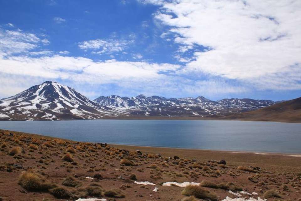 Piedras Rojas & Miscanti y Miñiques & Chaxa Lagoon & Salar De Atacama - Tangol Tours - Chile - Image 2
