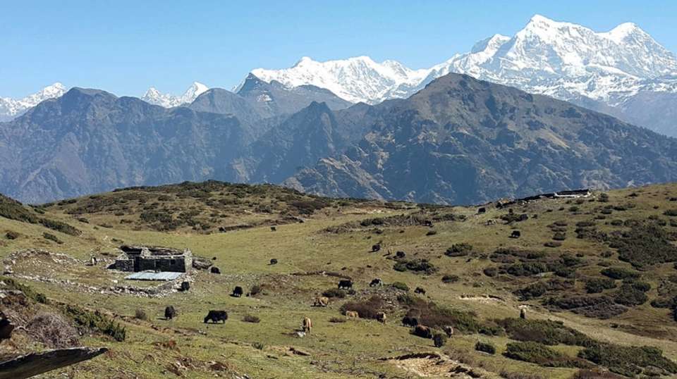 Pikey Peak Trek - Travel Max Guide - Nepal - Image 6