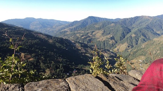 Image 2 of 3