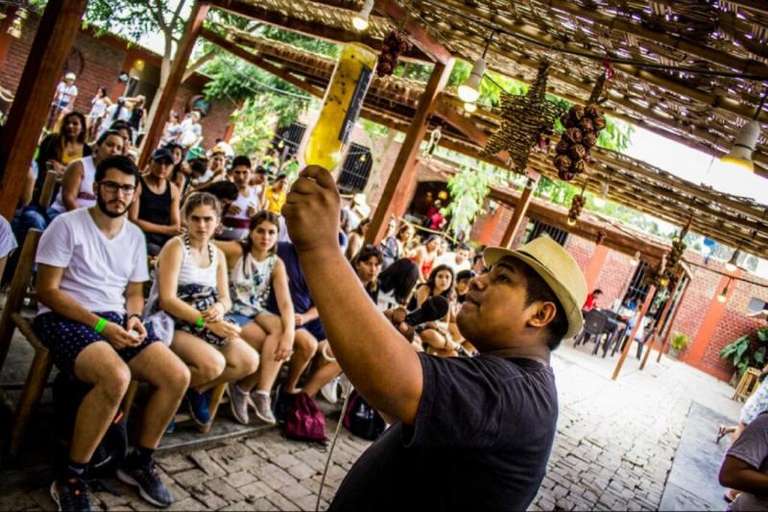 Pisco wineries and Vineyards Day Tour trip - alternative tour available