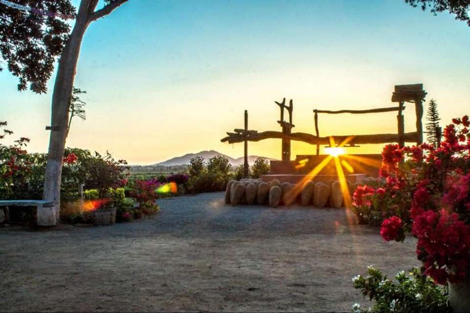 Pisco wineries and Vineyards Day Tour - Tangol Tours - Peru - Image 4