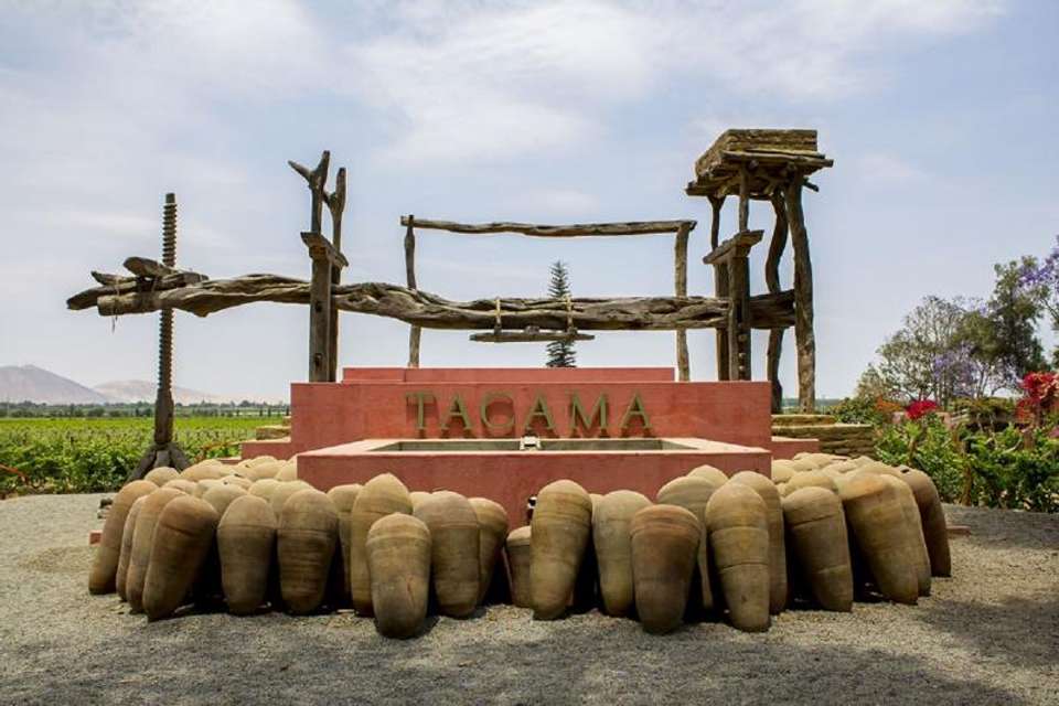 Pisco wineries and Vineyards Day Tour - Tangol Tours - Peru - Image 5