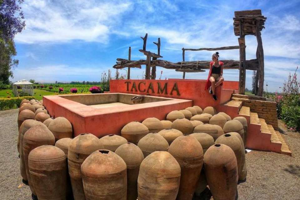Pisco wineries and Vineyards Day Tour - Tangol Tours - Peru - Image 6