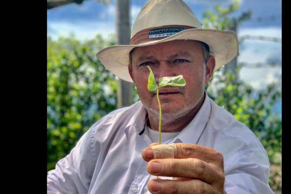 Plant Your Own Coffee Tree & Farm Experience in Pereira - Tangol Tours - Colombia - Image 1
