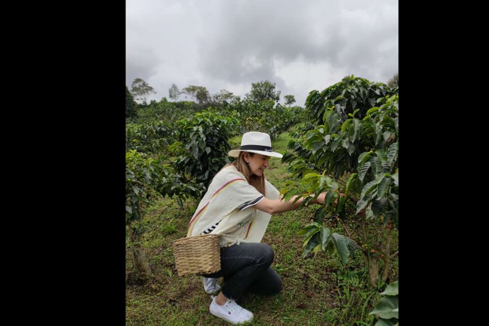 Plant Your Own Coffee Tree & Farm Experience in Pereira - Tangol Tours - Colombia - Image 3