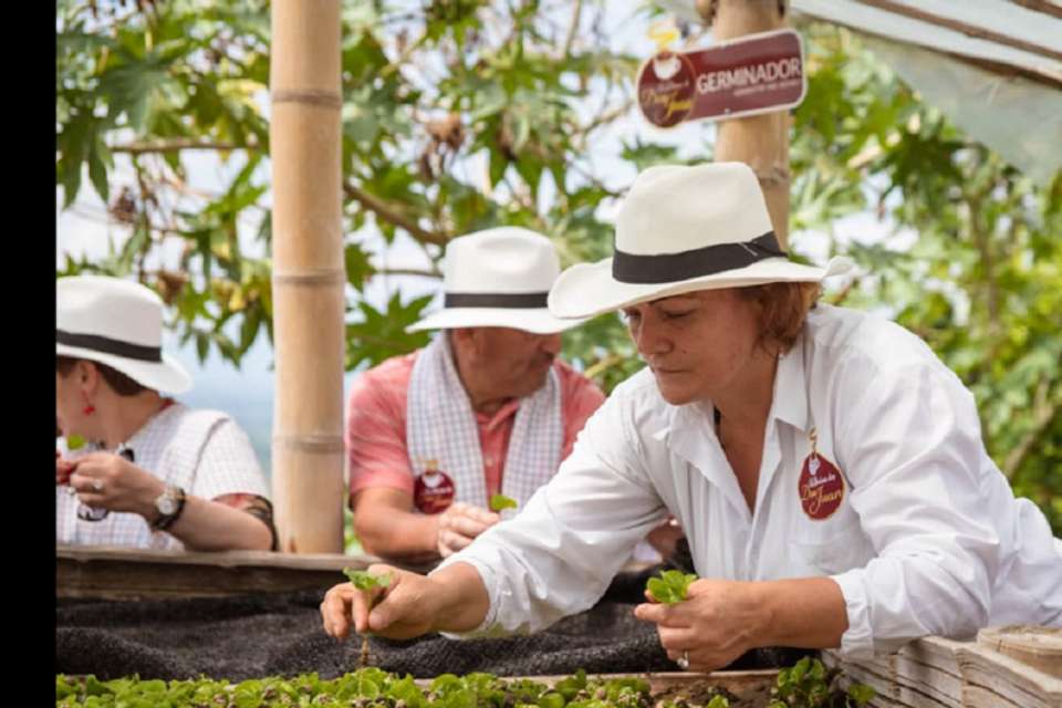 Plant Your Own Coffee Tree & Farm Experience in Pereira - Tangol Tours - Colombia - Image 4