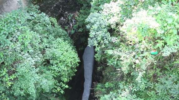 Image 4 of 5