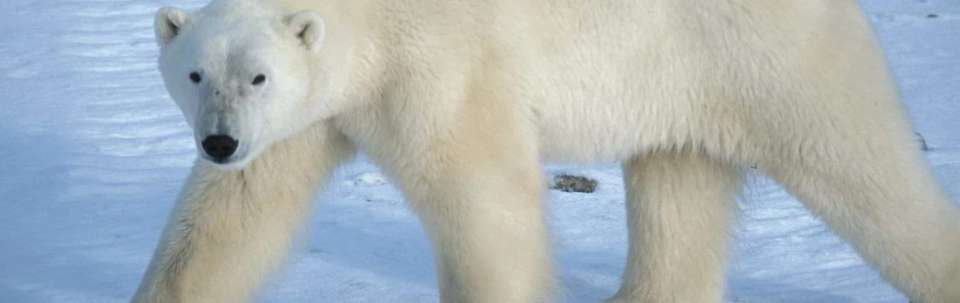 Image 8 of 10