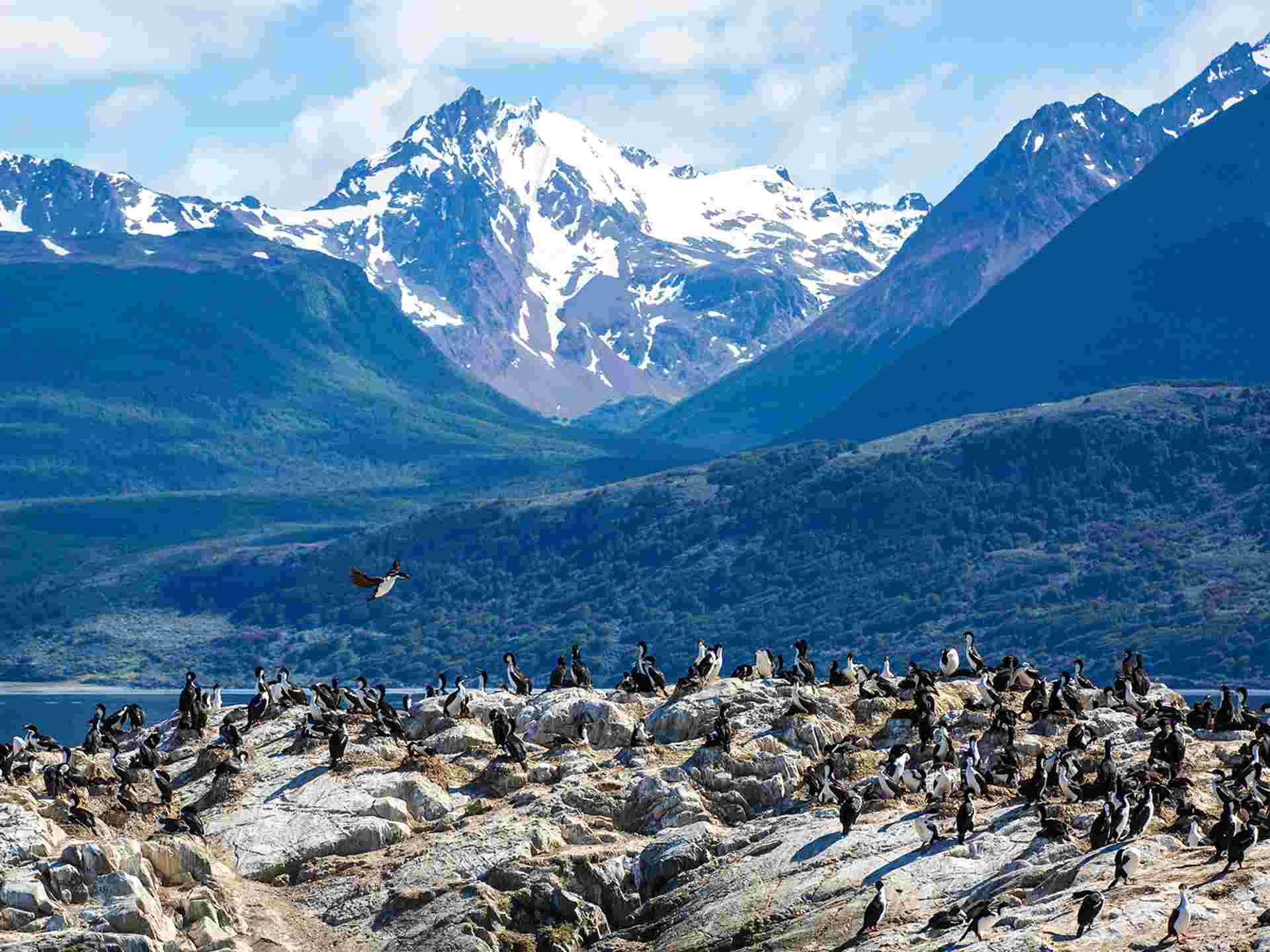 Polar Circle Quest - 12 days