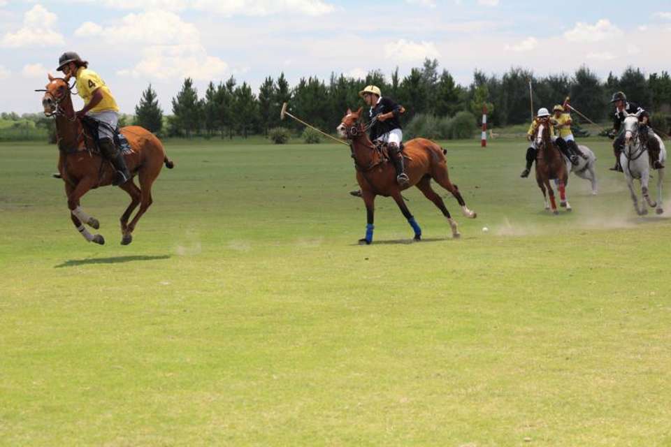 Polo Experience at Estancia Villa Maria - Tangol Tours - Argentina - Image 2