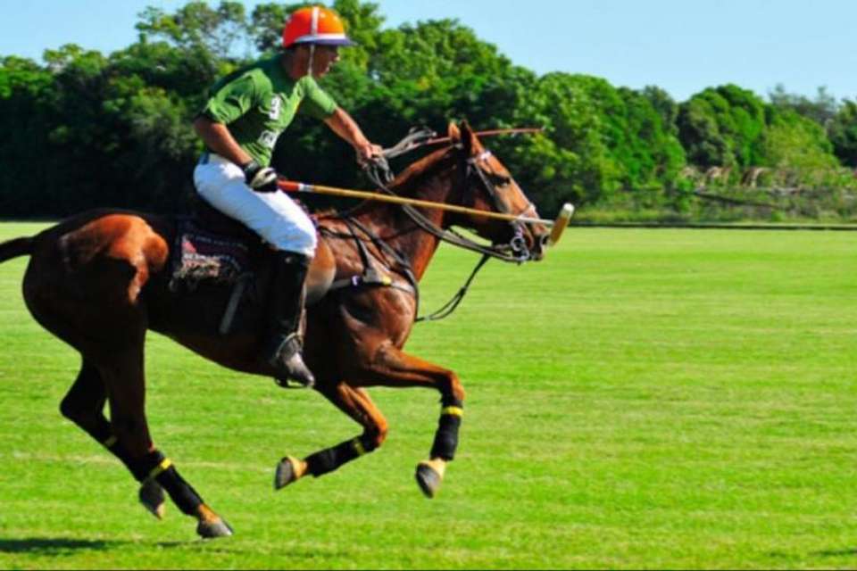 Polo Experience at Estancia Villa Maria - Tangol Tours - Argentina - Image 3