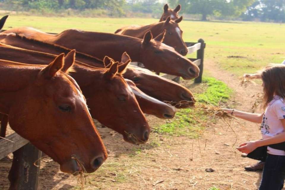 Polo Experience at Estancia Villa Maria - Tangol Tours - Argentina - Image 8