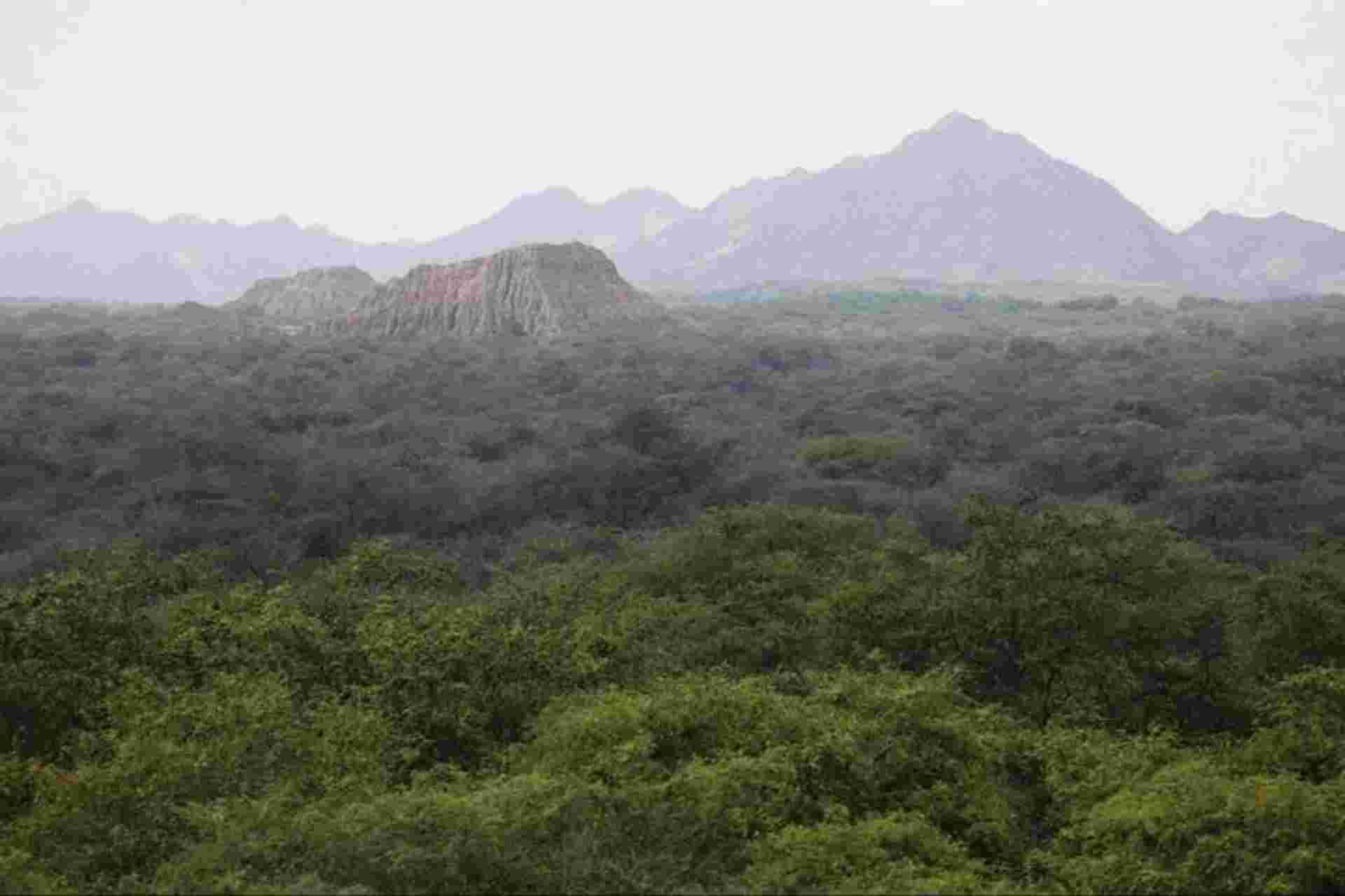 Pomac Forest Historic Sanctuary & Sican Museum in Chiclayo