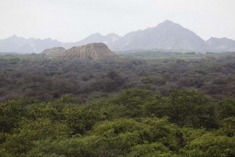 Pomac Forest Historic Sanctuary & Sican Museum in Chiclayo - Tangol Tours - Peru - Image 1