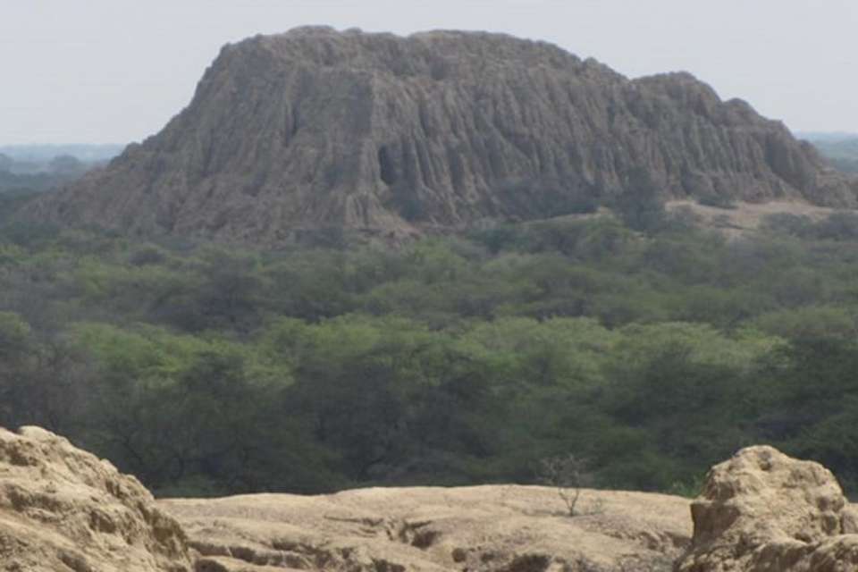 Pomac Forest Historic Sanctuary & Sican Museum in Chiclayo - Tangol Tours - Peru - Image 3