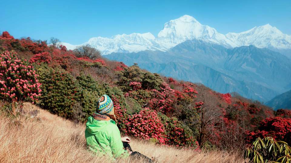 Poon Hill Short Trek - Travel Max Guide - Nepal - Image 4