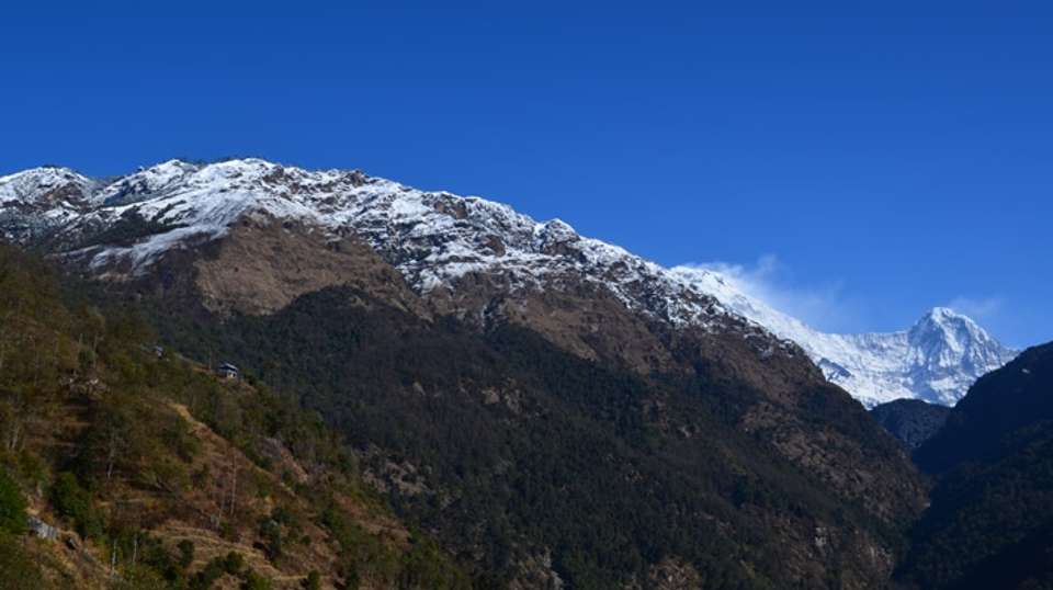 Poon Hill Trek - 4 days - Base Camp Adventure Pvt. Ltd. - Nepal - Image 5