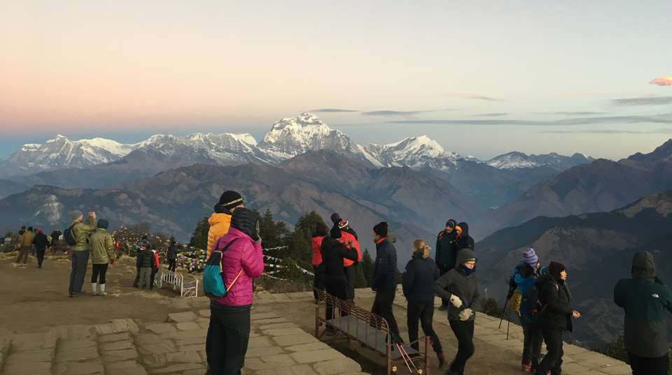 Poonhill Tea House Trek 7-Days - Nepal Lion Tours And Treks Pvt Ltd - Nepal - Image 7