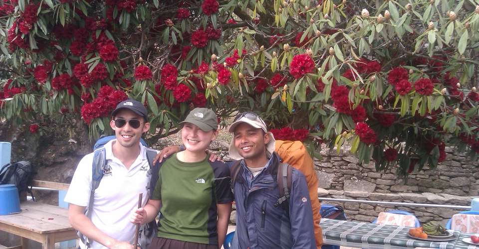 Poonhill trek - Green Valley Nepal Treks Pvt Ltd - Nepal - Image 2