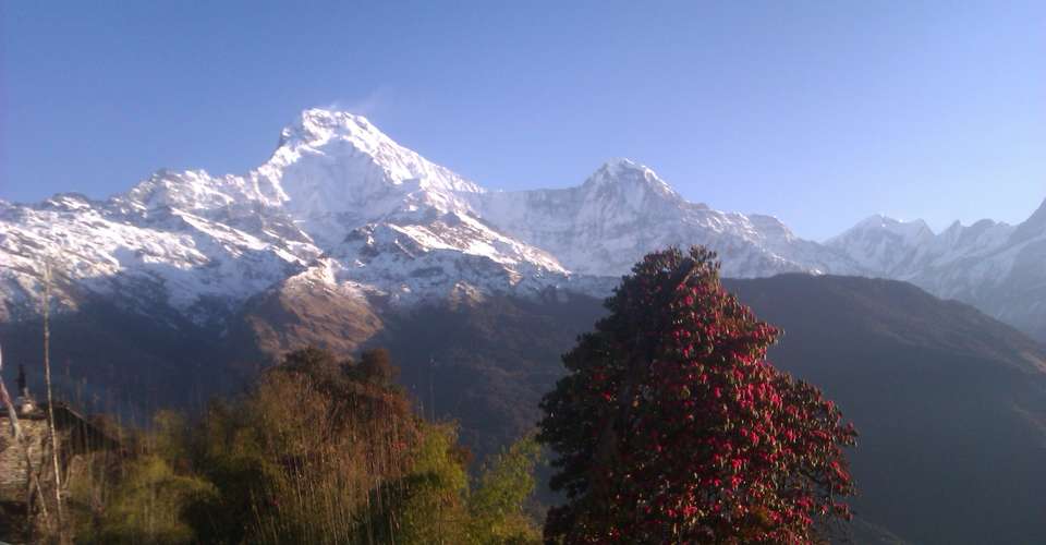 Poonhill trek - Green Valley Nepal Treks Pvt Ltd - Nepal - Image 5