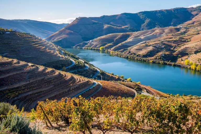 Porto & the Douro Valley Private Discovery trip - alternative tour available