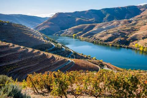Porto Explorer Tour: Porto & The Douro Valley Private Discovery