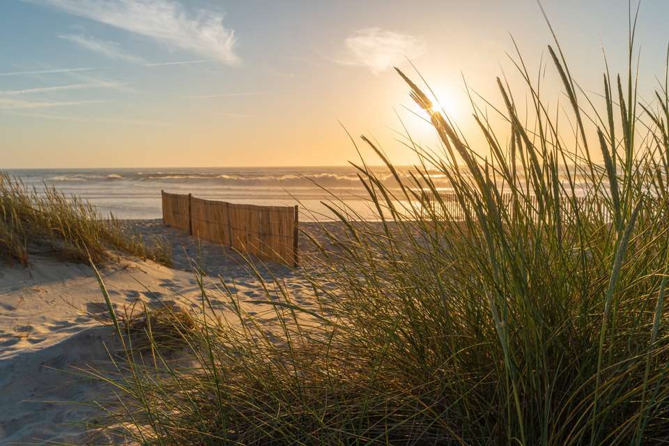 Porto Coastal Cycling - Exodus Adventure Travels - Portugal - Image 6