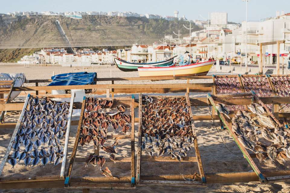 Porto to Lisbon Atlantic Ride - Exodus Adventure Travels - Portugal - Image 18