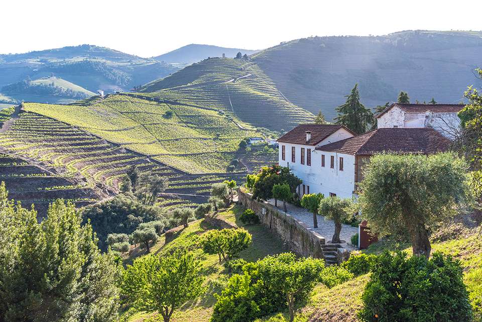 Portugal Real Food Adventure - Intrepid Travel - Portugal - Image 6