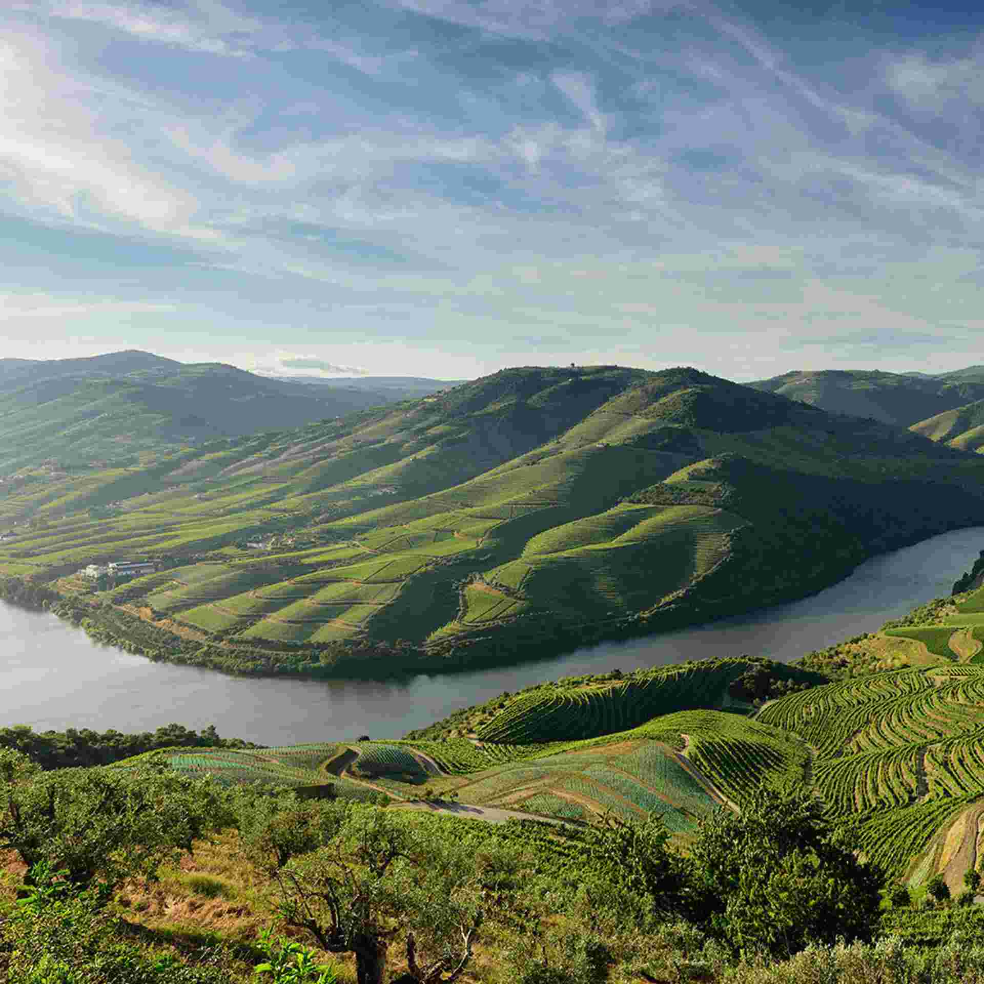 Portugal Uncovered - Small Group