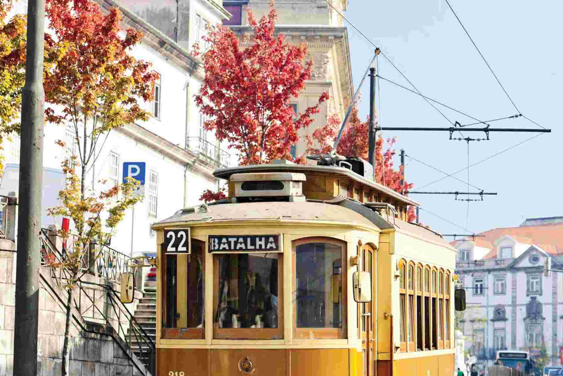 Portuguese Camino