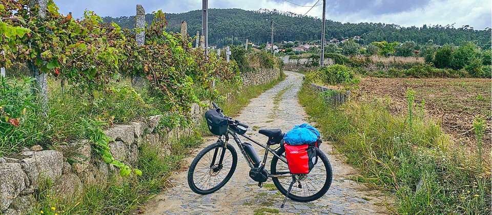 Portuguese Camino Cycle - Lisbon to Porto - Utracks - Portugal - Image 8