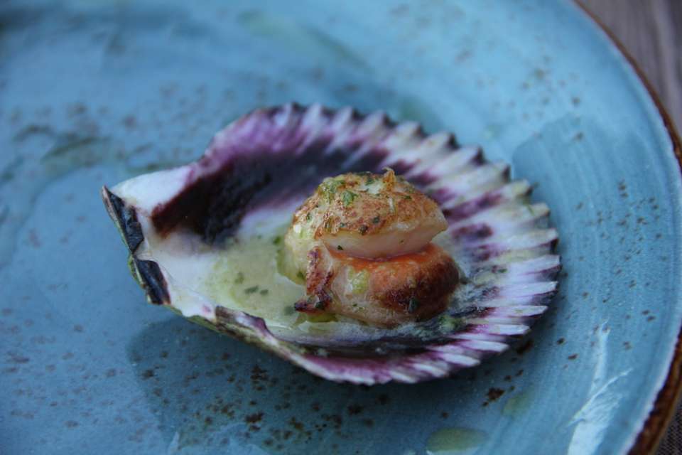 Portuguese Camino Highlights Walk - Exodus Adventure Travels - Portugal