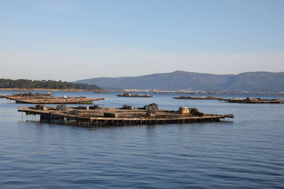 Portuguese Camino Highlights Walk - Exodus Adventure Travels - Portugal